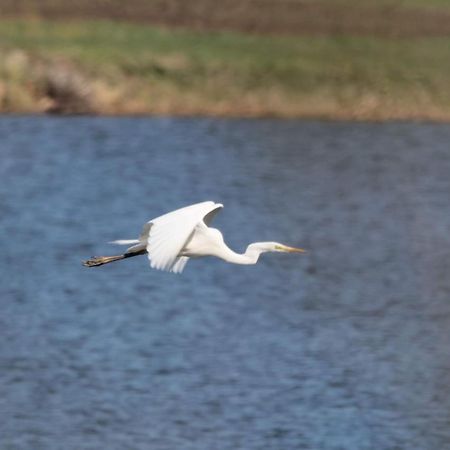 Nature Center Udoli Volavek II Weseritz Екстериор снимка