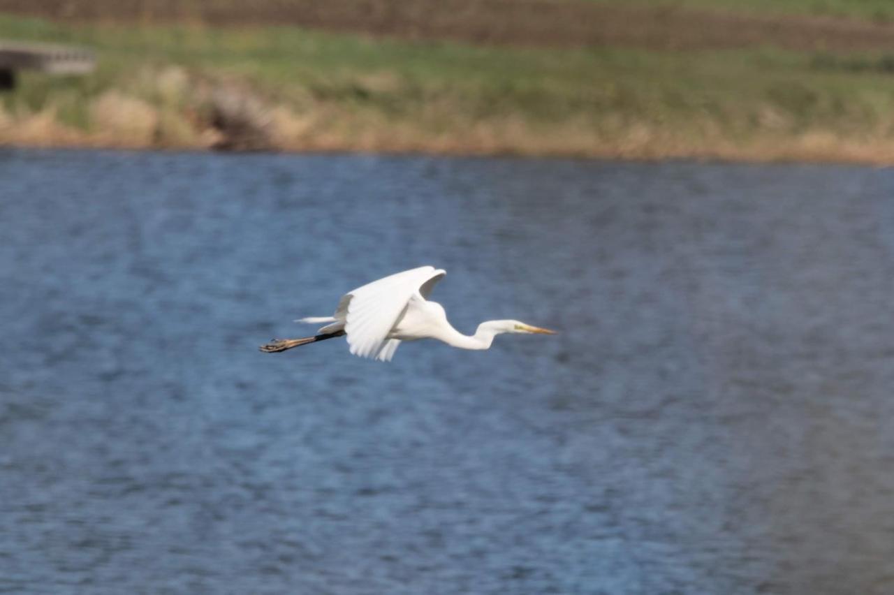 Nature Center Udoli Volavek II Weseritz Екстериор снимка