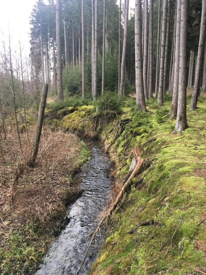 Nature Center Udoli Volavek II Weseritz Екстериор снимка